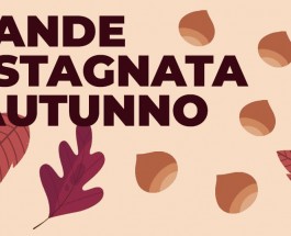 GRANDE CASTAGNATA D’AUTUNNO 2024