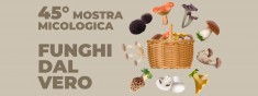 45° MOSTRA MICOLOGICA – FUNGHI DAL VERO