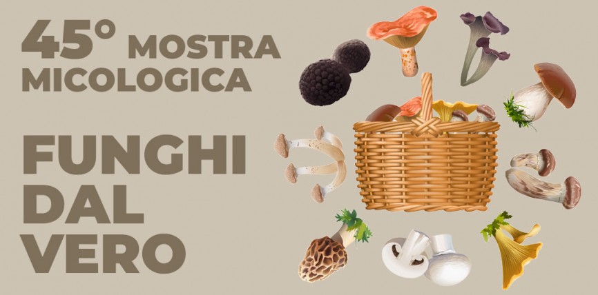 45° MOSTRA MICOLOGICA – FUNGHI DAL VERO