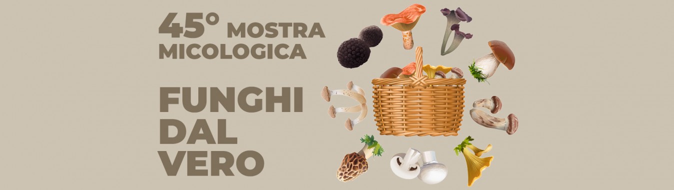 45° MOSTRA MICOLOGICA – FUNGHI DAL VERO